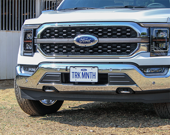 F-150 TM License Plate